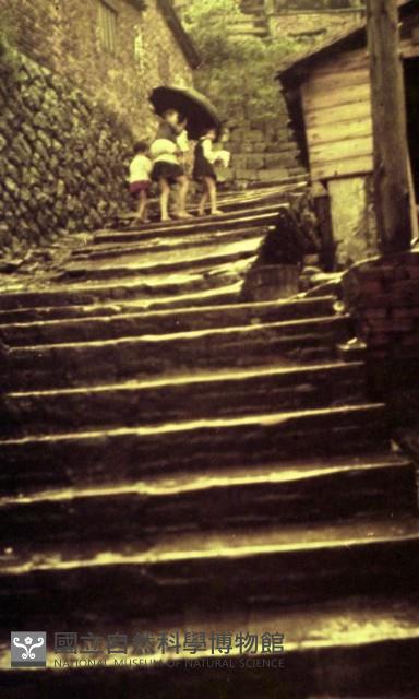 1950至2006年臺灣常民生活藏品圖，第1張