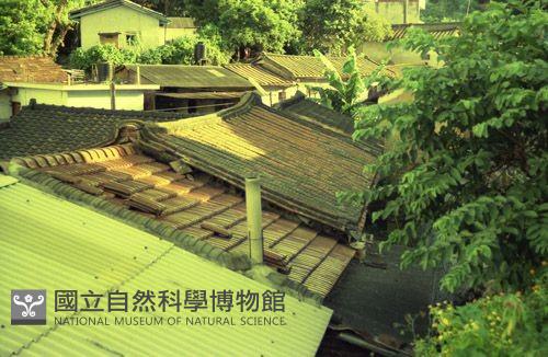 1950至2006年臺灣常民生活藏品圖，第1張