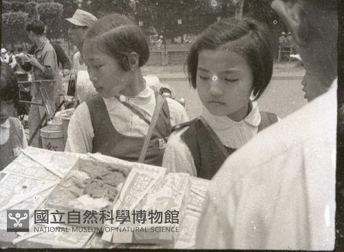 1950至2006年台灣常民生活藏品圖，第1張