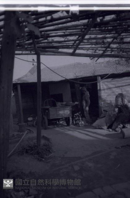 1950至2006年臺灣常民生活藏品圖，第1張
