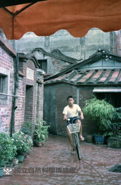 1950至2006年臺灣常民生活藏品圖，第1張
