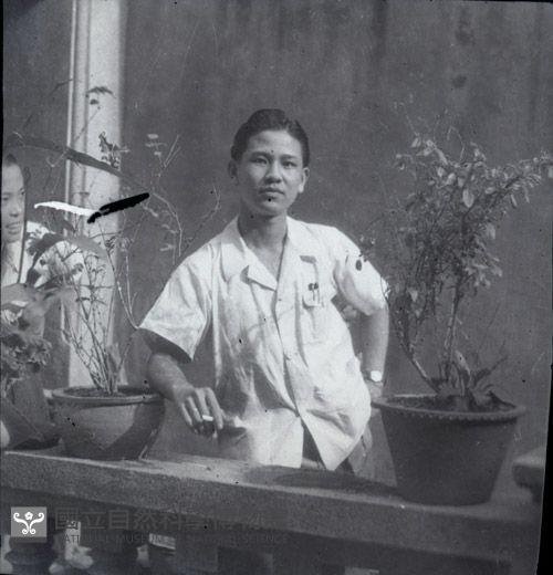 1950至2006年臺灣常民生活藏品圖，第1張