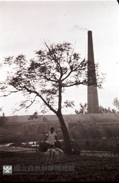 1950至2006年臺灣常民生活藏品圖，第1張