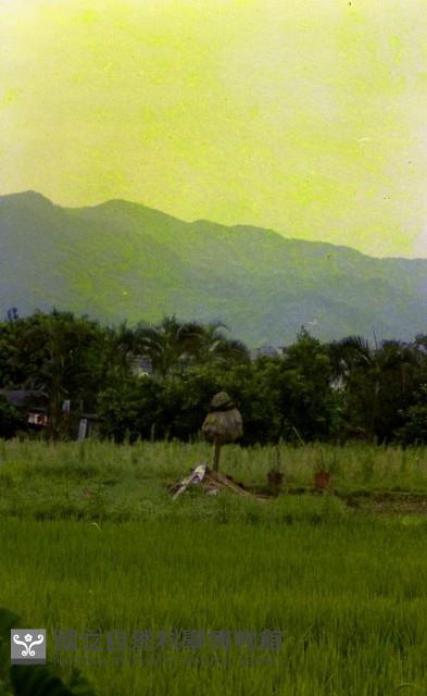 1950至2006年臺灣常民生活藏品圖，第1張