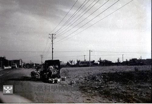 1950至2006年臺灣常民生活藏品圖，第1張