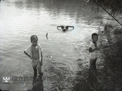 1950至2006年臺灣常民生活藏品圖，第1張