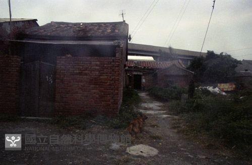 1950至2006年臺灣常民生活藏品圖，第1張