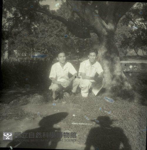 1950至2006年臺灣常民生活藏品圖，第1張