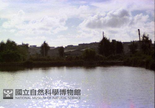 1950至2006年臺灣常民生活藏品圖，第1張