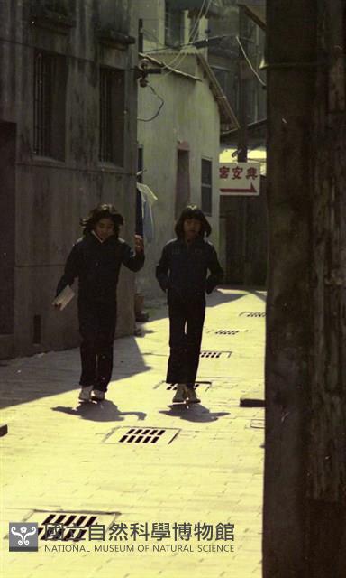 1950至2006年臺灣常民生活藏品圖，第1張