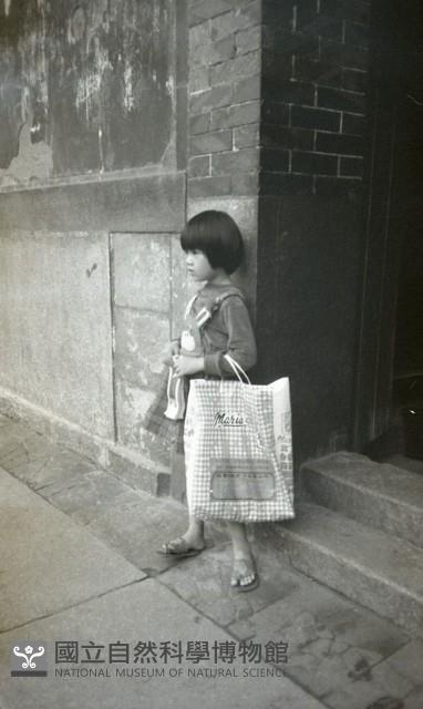 1950至2006年臺灣常民生活藏品圖，第1張