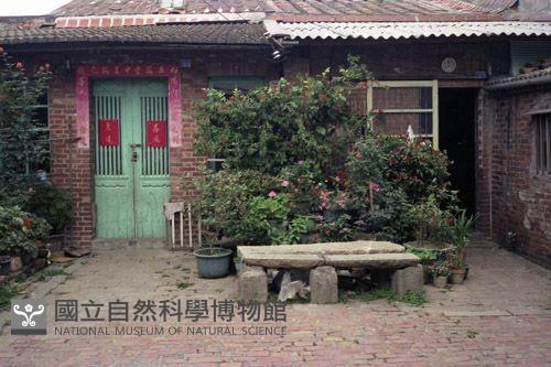 1950至2006年臺灣常民生活藏品圖，第1張