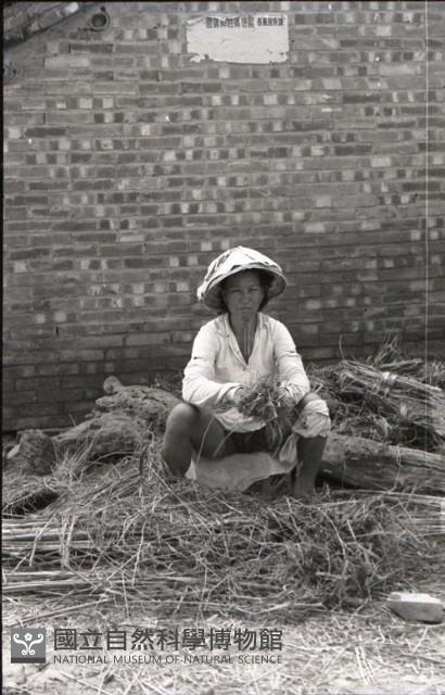 1950至2006年臺灣常民生活藏品圖，第1張