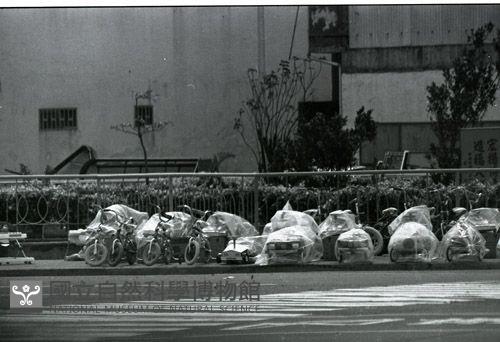 1950至2006年臺灣常民生活藏品圖，第1張