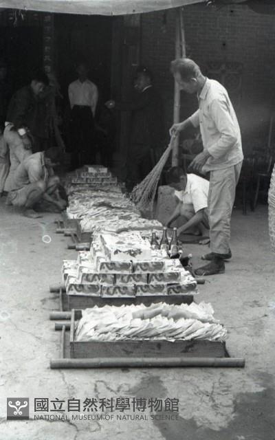 1950至2006年臺灣常民生活藏品圖，第1張