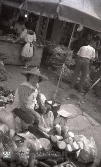 1950至2006年臺灣常民生活藏品圖，第1張