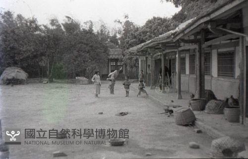 1950至2006年臺灣常民生活藏品圖，第1張