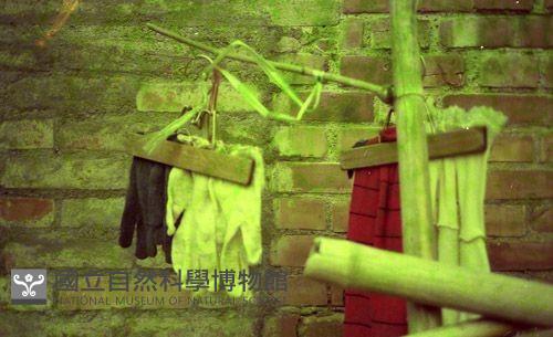 1950至2006年臺灣常民生活藏品圖，第1張
