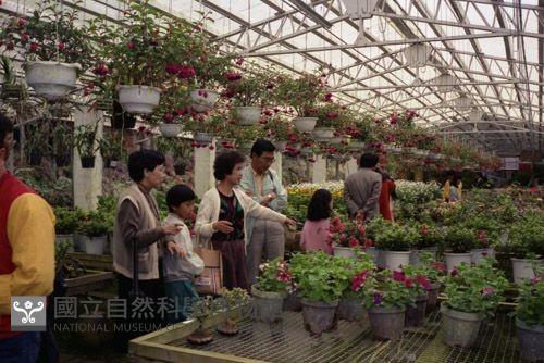 1950至2006年臺灣常民生活藏品圖，第1張
