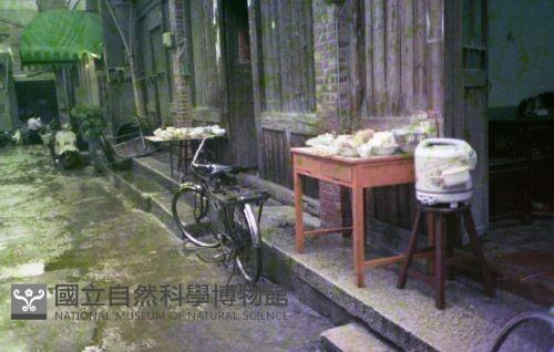 1950至2006年臺灣常民生活藏品圖，第1張