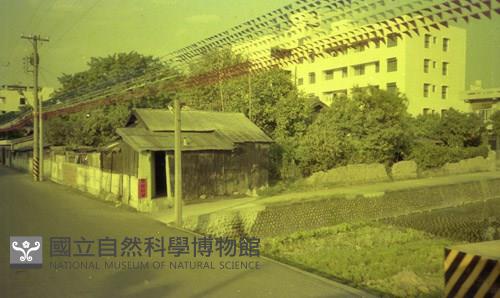 1950至2006年臺灣常民生活藏品圖，第1張