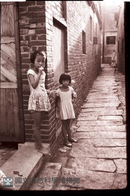 1950至2006年臺灣常民生活藏品圖，第1張