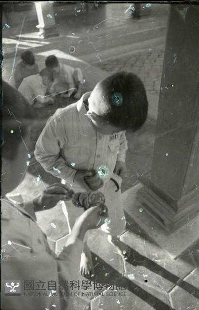 1950至2006年臺灣常民生活藏品圖，第1張