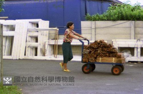 1950至2006年臺灣常民生活藏品圖，第1張