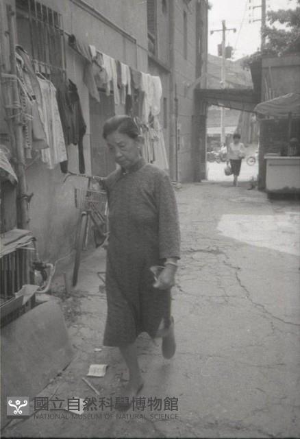 1950至2006年臺灣常民生活藏品圖，第1張