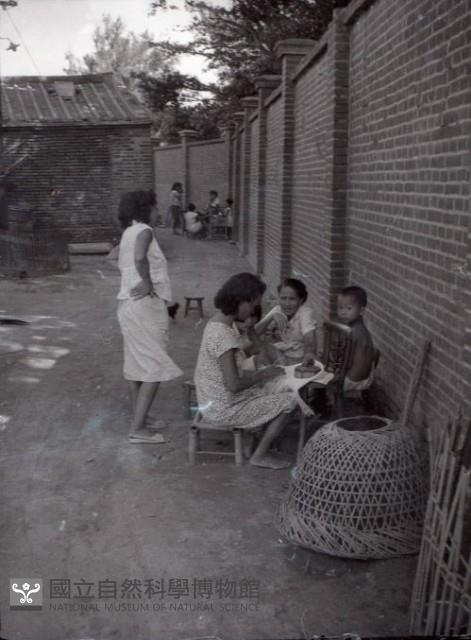 1950至2006年臺灣常民生活藏品圖，第1張