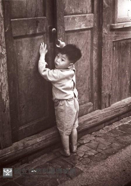 1950至2006年臺灣常民生活藏品圖，第1張