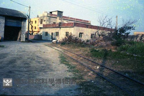 1950至2006年臺灣常民生活藏品圖，第1張