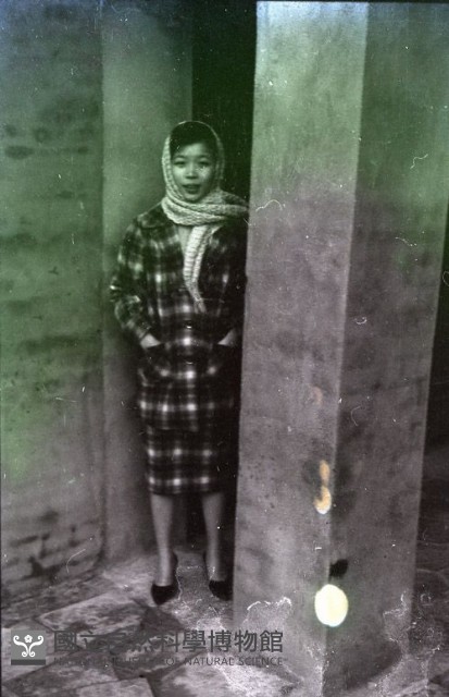 1950至2006年臺灣常民生活藏品圖，第1張