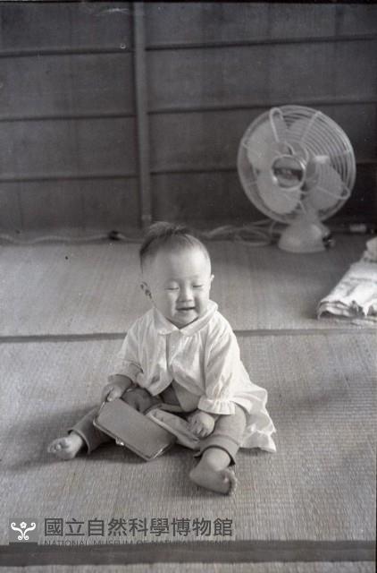 1950至2006年臺灣常民生活藏品圖，第1張
