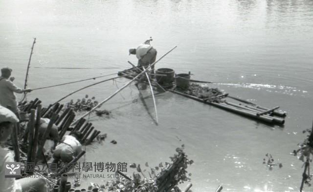 1950至2006年臺灣常民生活藏品圖，第1張