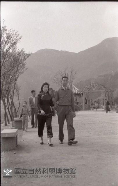 1950至2006年臺灣常民生活藏品圖，第1張
