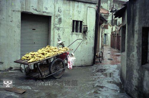 1950至2006年臺灣常民生活藏品圖，第1張