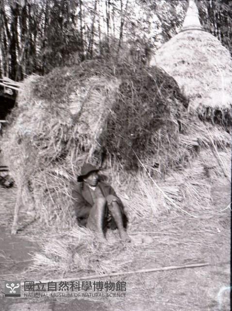 1950至2006年台灣常民生活藏品圖，第1張