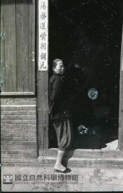 1950至2006年臺灣常民生活藏品圖，第1張