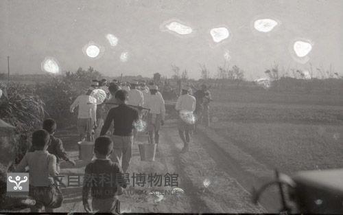 1950至2006年臺灣常民生活藏品圖，第1張