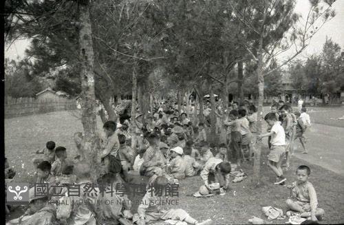 1950至2006年臺灣常民生活藏品圖，第1張