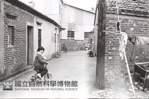 1950至2006年臺灣常民生活藏品圖，第1張