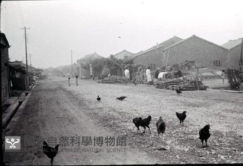 1950至2006年臺灣常民生活藏品圖，第1張