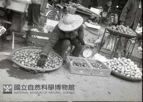 1950至2006年臺灣常民生活藏品圖，第1張
