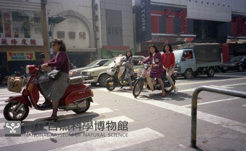 1950至2006年臺灣常民生活藏品圖，第1張