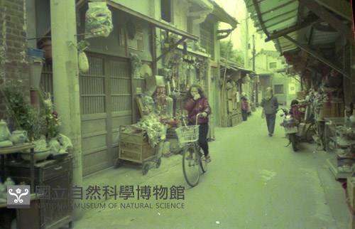 1950至2006年臺灣常民生活藏品圖，第1張