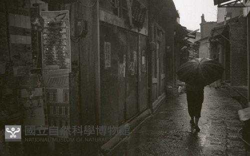 1950至2006年臺灣常民生活藏品圖，第1張
