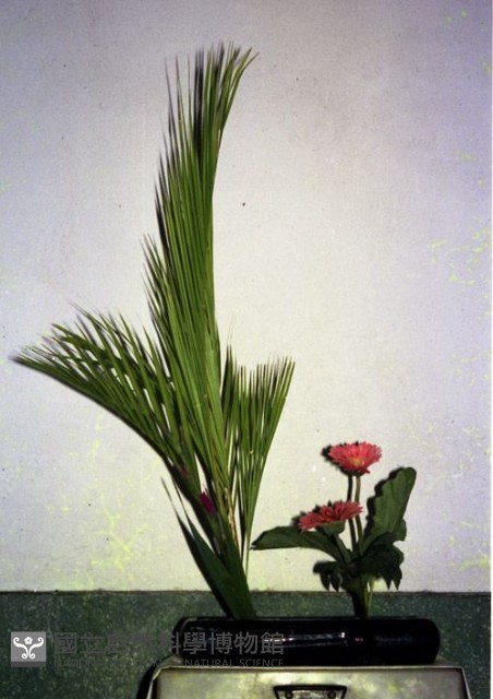 1950至2006年臺灣常民生活藏品圖，第1張