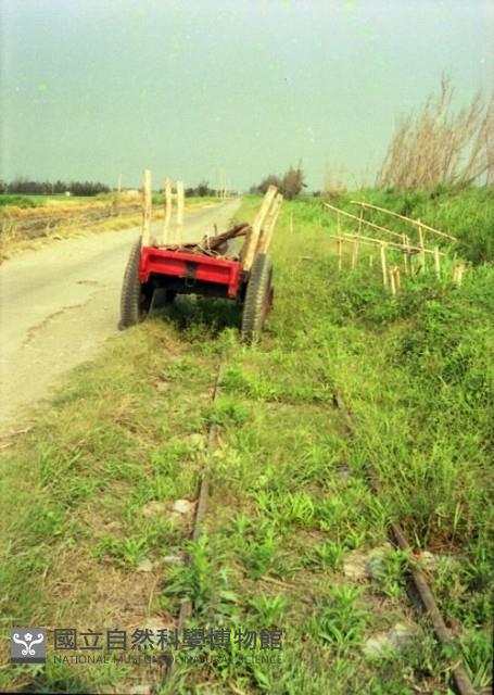 1950至2006年臺灣常民生活藏品圖，第1張