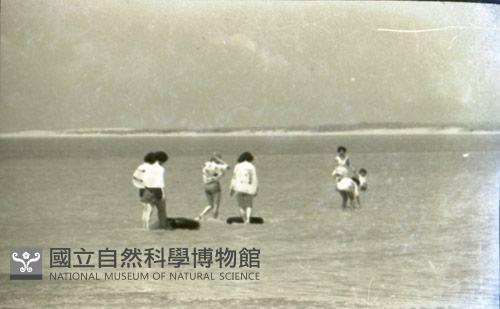 1950至2006年臺灣常民生活藏品圖，第1張